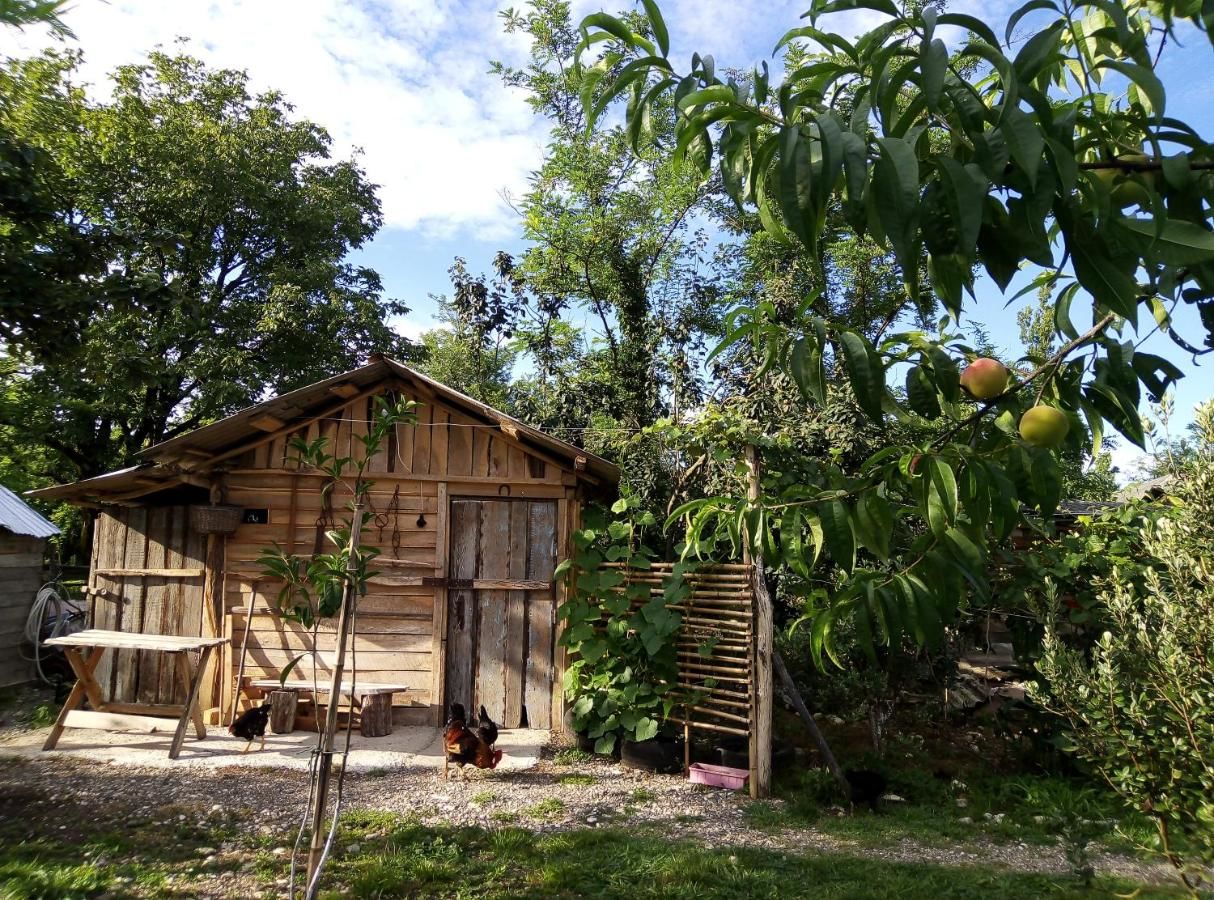 Гостевой дом Guesthouse Genacvale in Bandza Мартвили-46